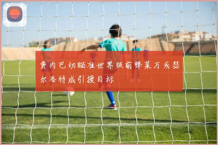 费内巴切瞄准世界级前锋莱万或瑟尔洛特成引援目标
